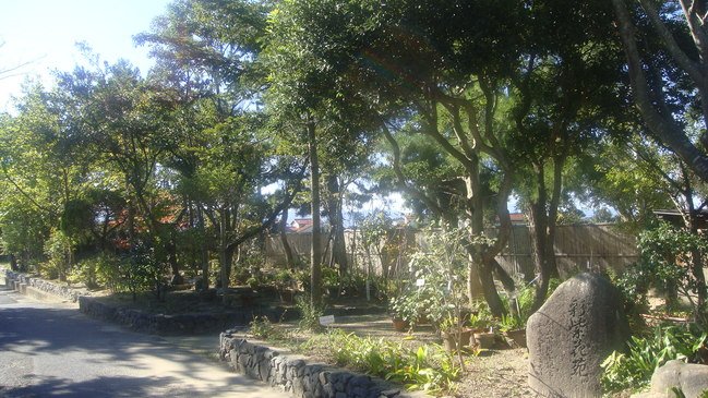 野草を集めた彩紫苑