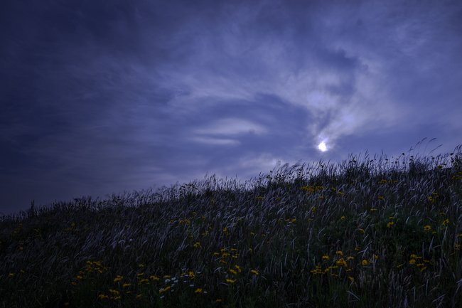 嵐の前の静けさ