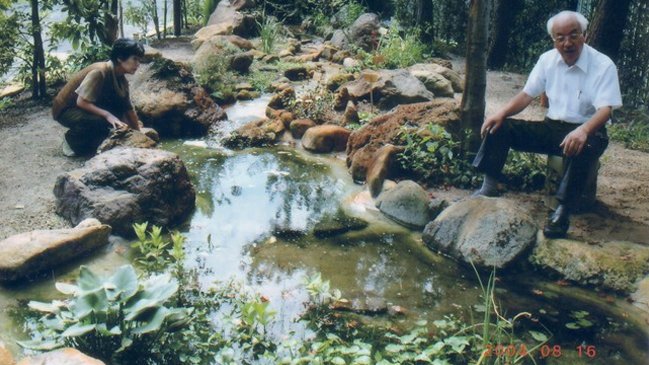 ロックガーデン